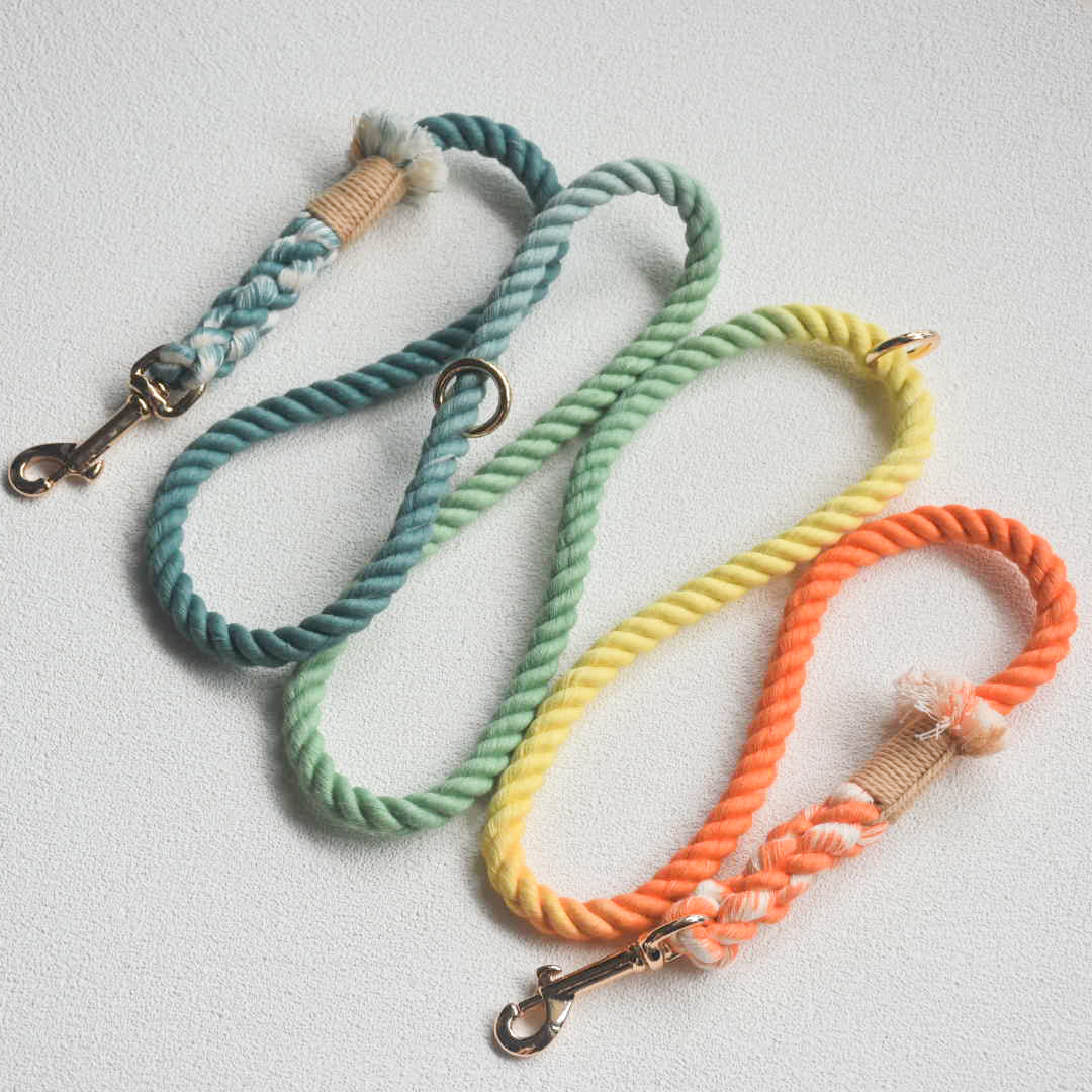 Hands Free Dog Rope Leash in Forest Shade, made of 100% cotton with luxe hardware and matching charm.