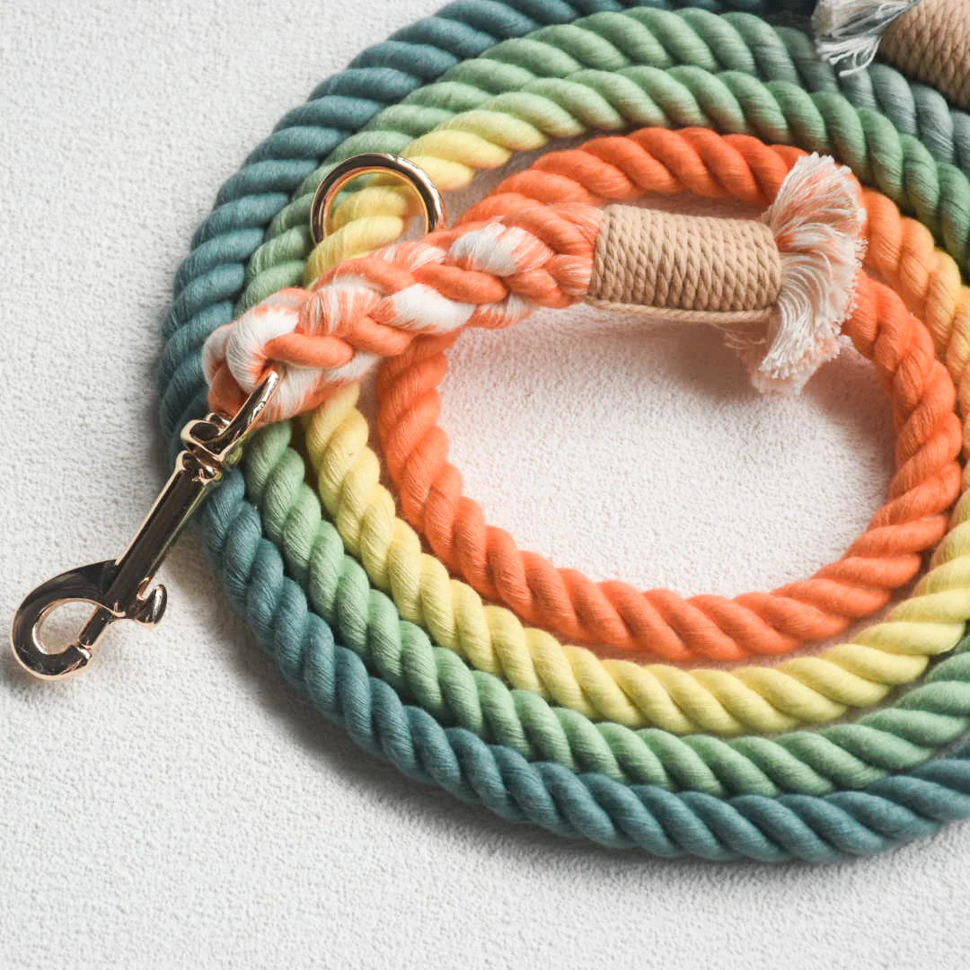 Hands Free Dog Rope Leash in Forest Shade, made of 100% cotton with luxe hardware and matching charm.