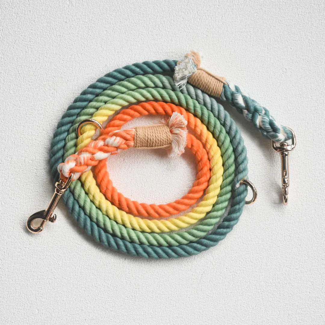 Hands Free Dog Rope Leash in Forest Shade, made of 100% cotton with luxe hardware and matching charm.