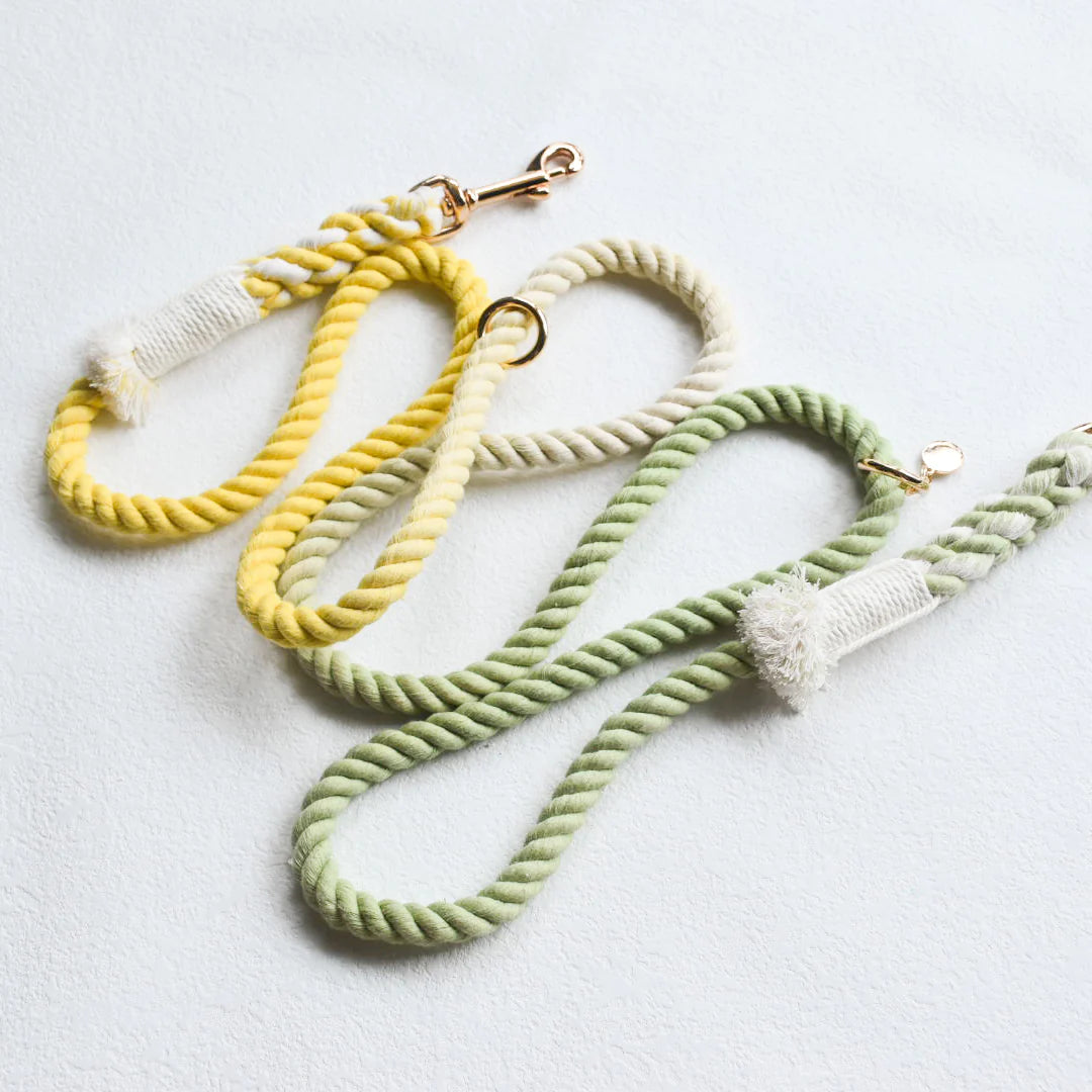 HANDS FREE DOG ROPE LEASH in Lime Lemonade color, showcasing its vibrant design and luxe hardware.