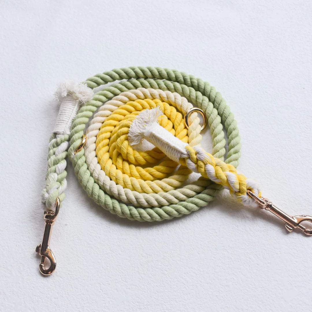 HANDS FREE DOG ROPE LEASH in Lime Lemonade color, showcasing its vibrant design and luxe hardware.