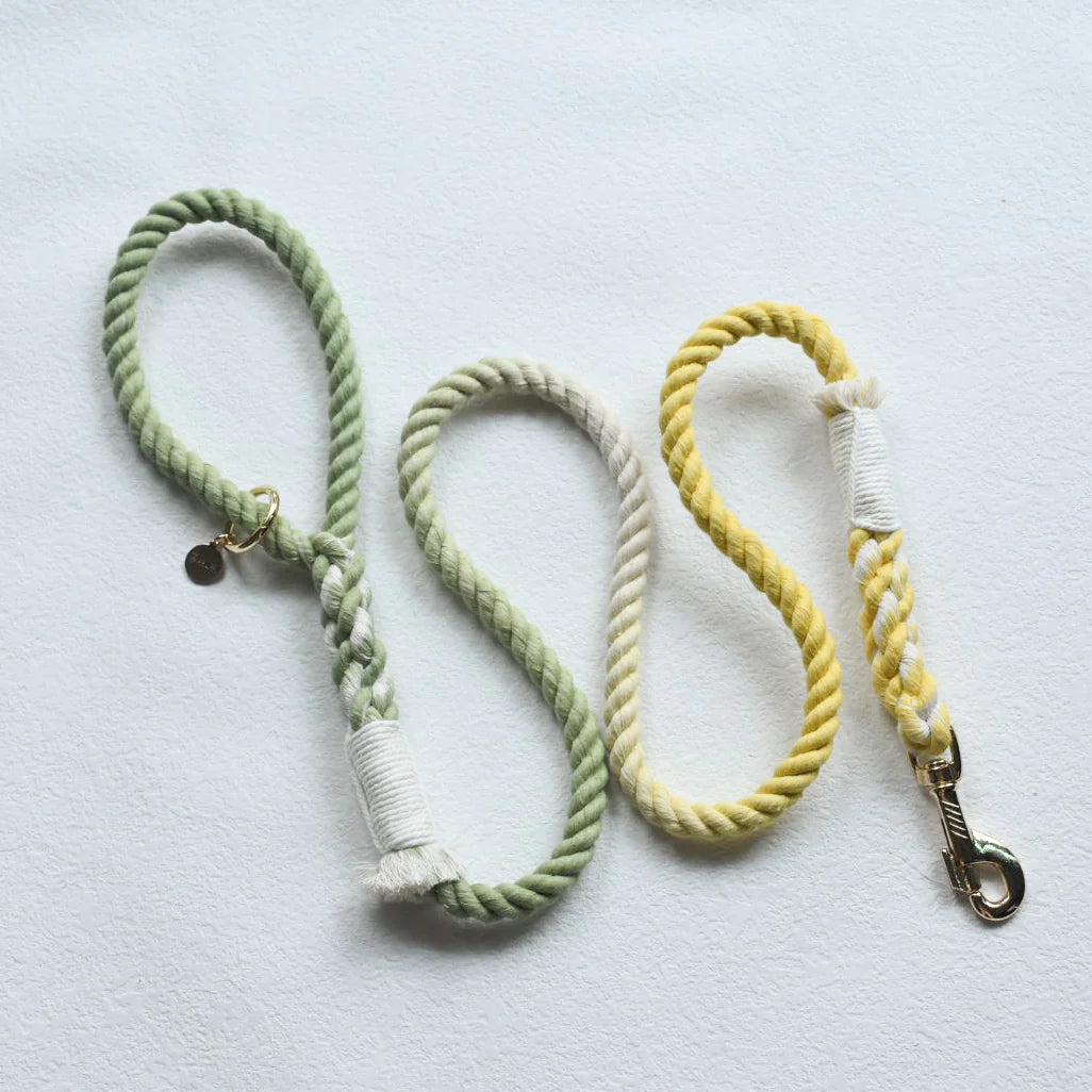 HANDS FREE DOG ROPE LEASH in Lime Lemonade color, showcasing its vibrant design and luxe hardware.
