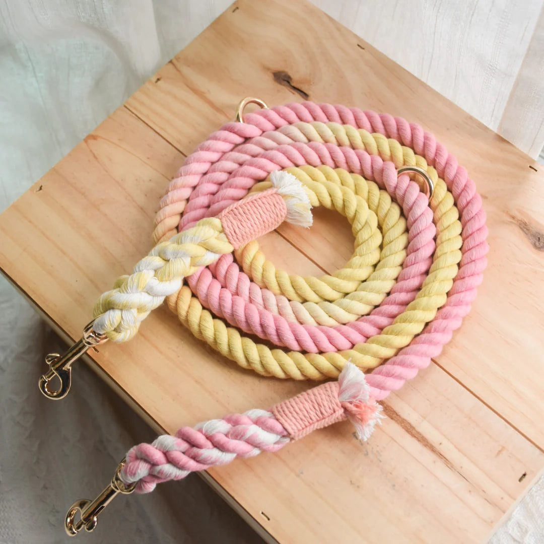 A colorful HANDS FREE DOG ROPE LEASH made of 100% cotton rope, featuring luxe hardware and a matching dog charm.