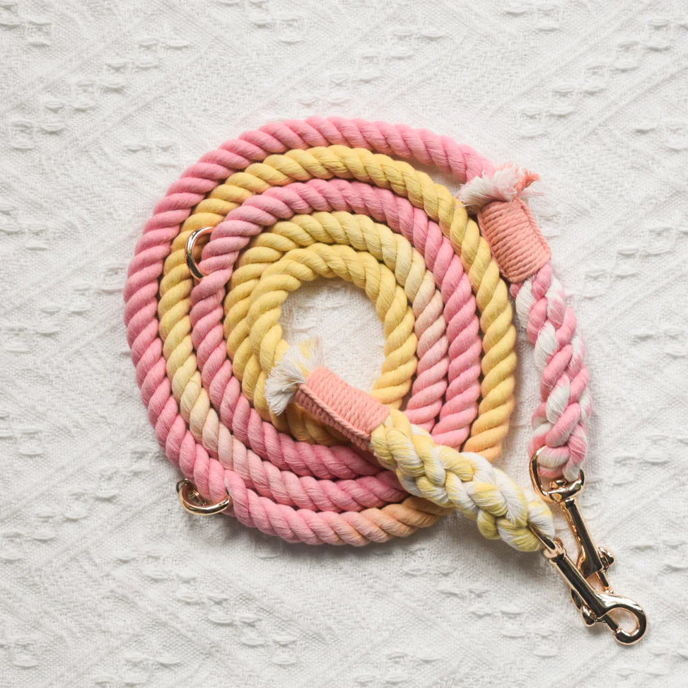 A colorful HANDS FREE DOG ROPE LEASH made of 100% cotton rope, featuring luxe hardware and a matching dog charm.