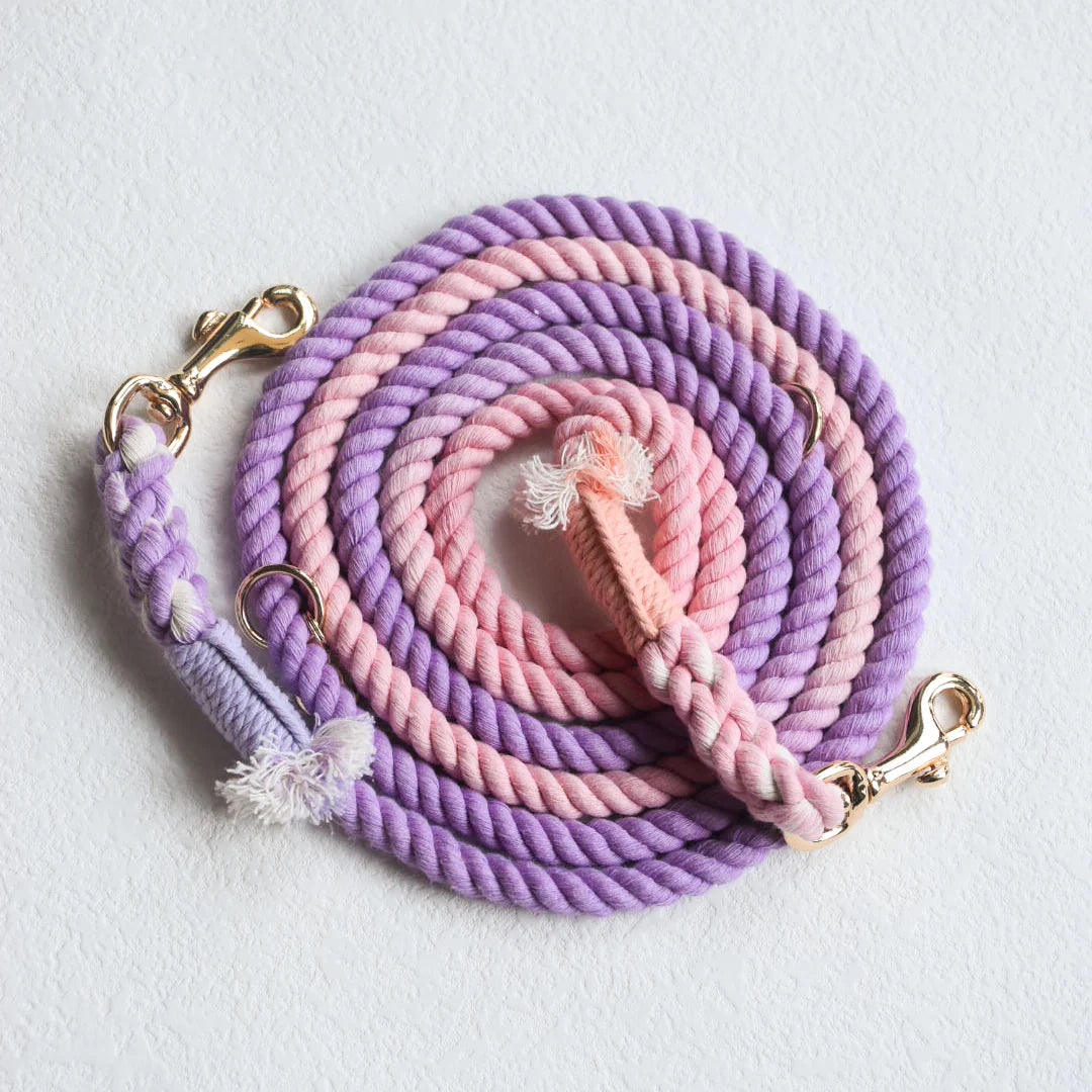 A vibrant HANDS FREE DOG ROPE LEASH in Rosy Garden design, made from durable cotton rope with luxe hardware and a matching dog charm.