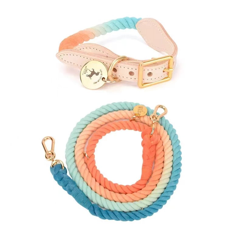 Hands Free Rope Leash and Luxe Royal Pink Leather Collar Bundle, showcasing a stylish pink leather collar and a durable hand woven cotton rope leash.