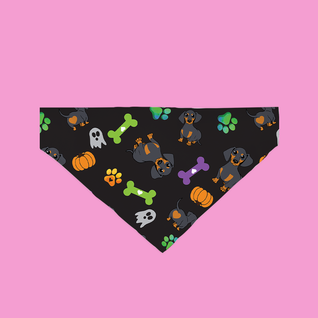 A stylish Happy Halloweenie Bandana for dogs, featuring a festive design made from ultra-soft polyester fabric, perfect for Halloween celebrations.