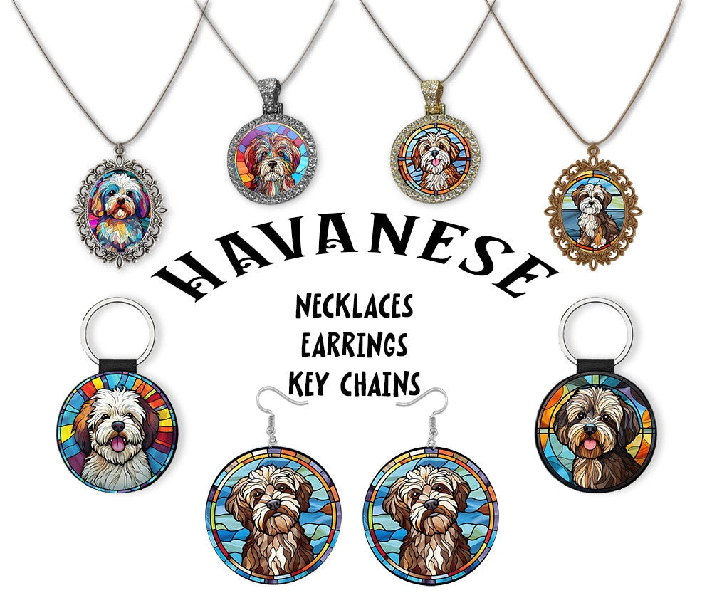 Stained glass style jewelry featuring Havanese designs, including necklaces and earrings in silver and gold.