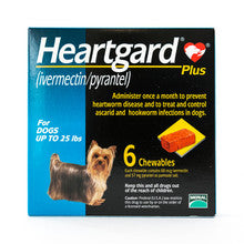 Heartgard Plus Blue Chewables for Dogs up to 25lbs, 6 pack, designed for heartworm prevention and easy administration.