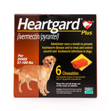 Heartgard Plus Chewables for Dogs 51-100lbs, 6 pack, brown chewable tablets in a package.