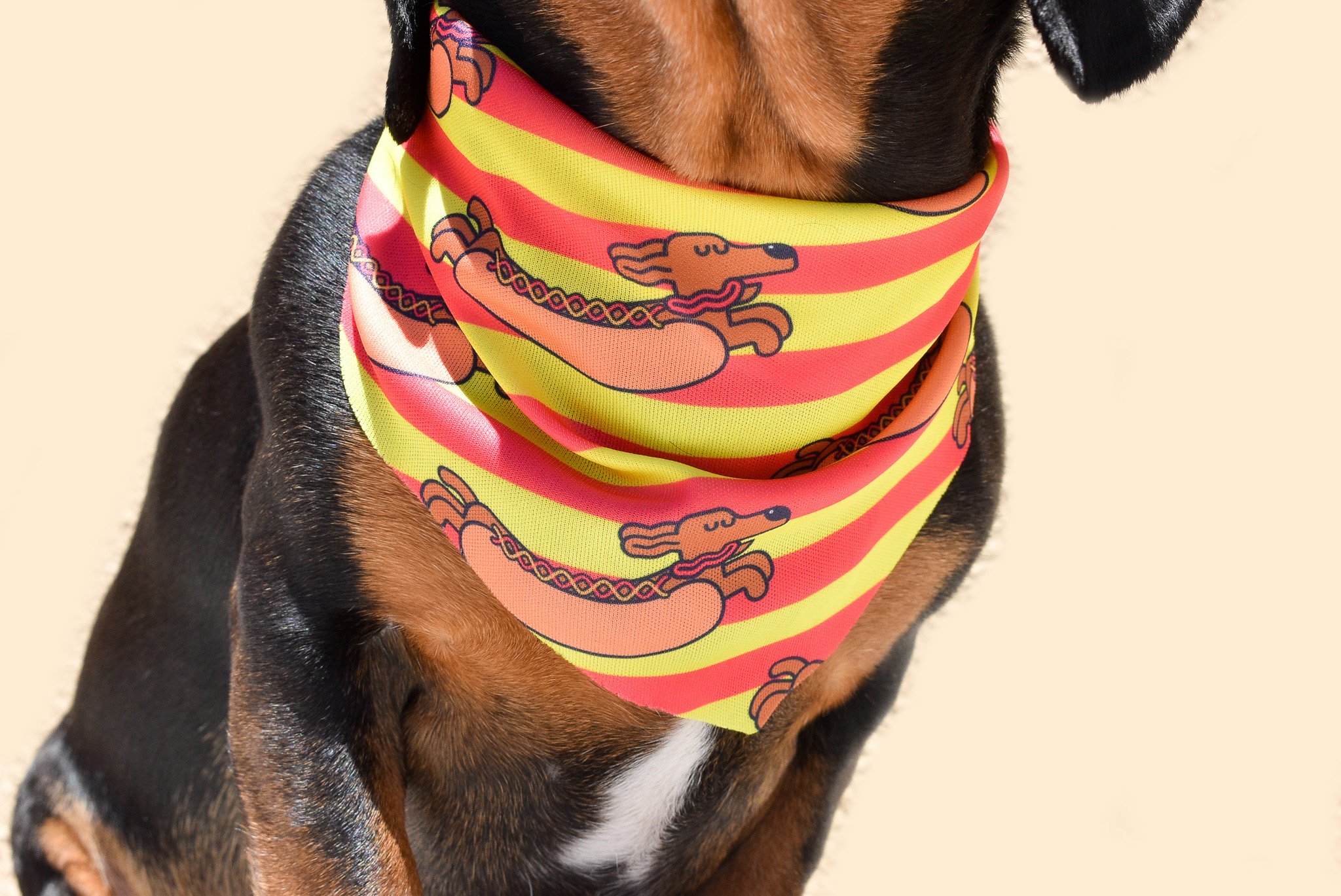 A stylish Hot Dawg Lover Bandana for dogs, made from unique canvas fabric, showcasing a cute design.