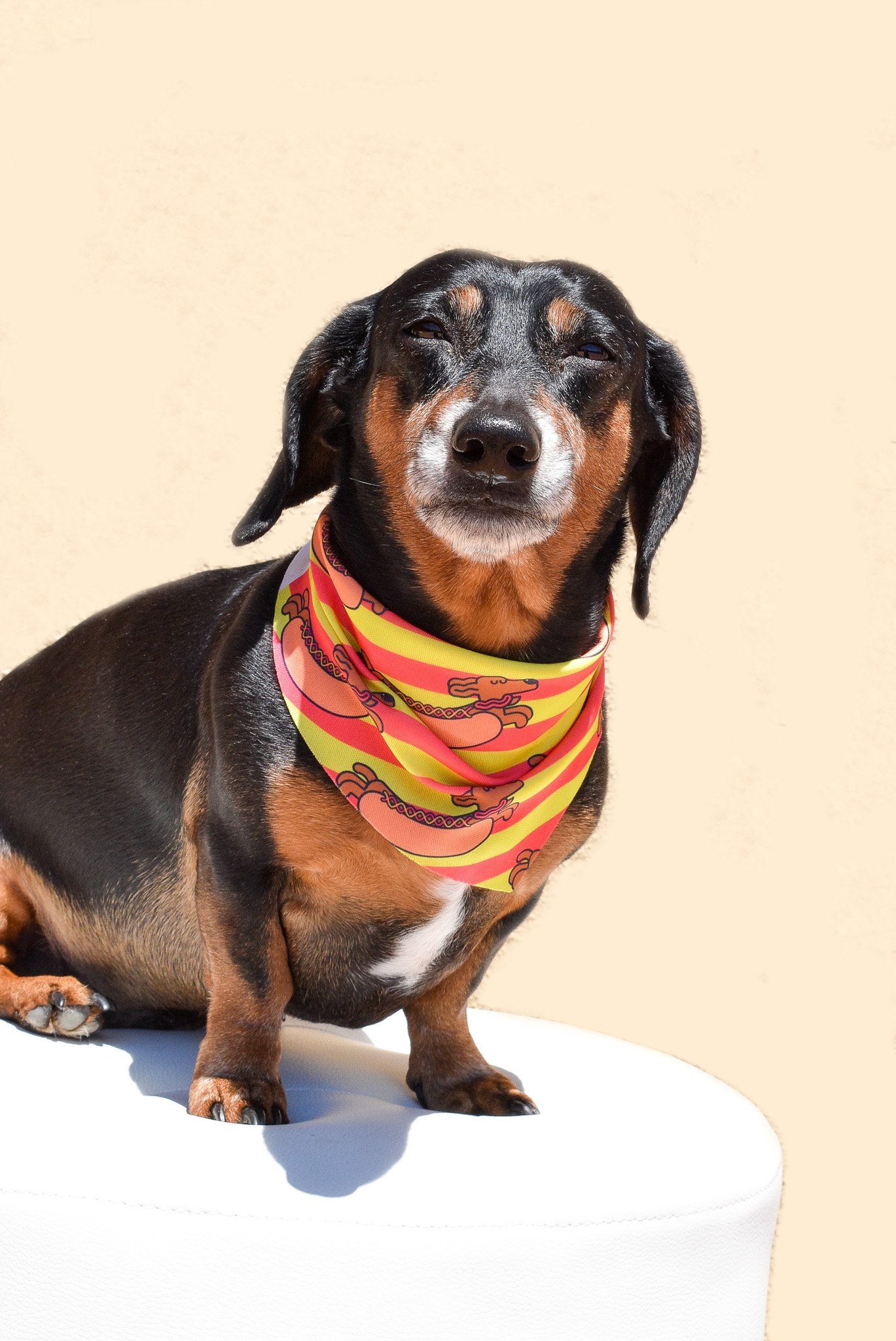 A stylish Hot Dawg Lover Bandana for dogs, made from unique canvas fabric, showcasing a cute design.
