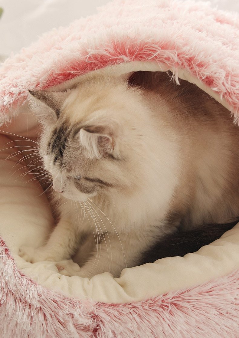 Hot Plush Round Cat Bed featuring soft velvet material, ideal for small dogs and cats, designed for warmth and comfort.