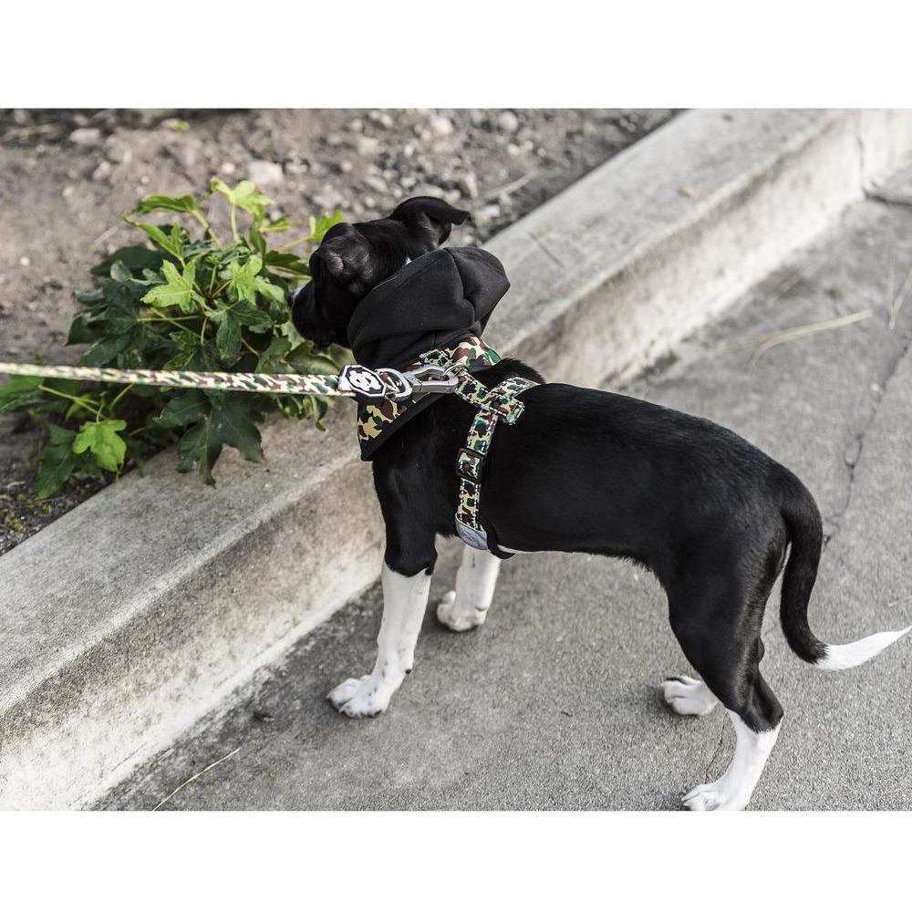 Hype Camo Hoodie Harness for dogs, featuring a stylish camo design, hood, and reflective strips for safety.