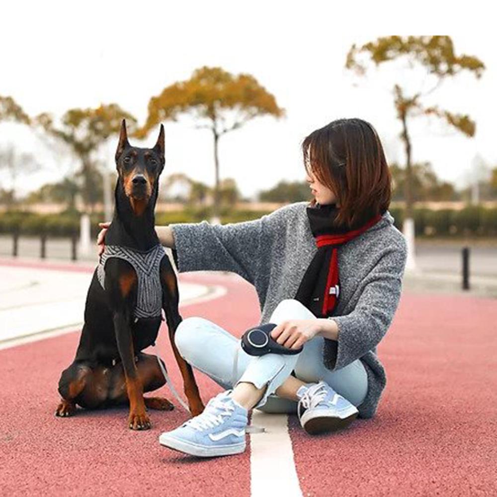 Instachew PETKIT Air Fly Dog Harness in black, showcasing its breathable mesh and soft chest cushion for comfort.