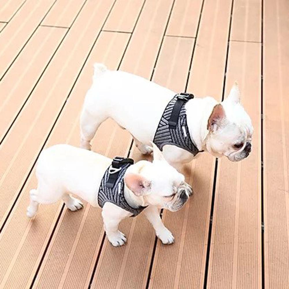 Instachew PETKIT Air Fly Dog Harness in black, showcasing its breathable mesh and soft chest cushion for comfort.