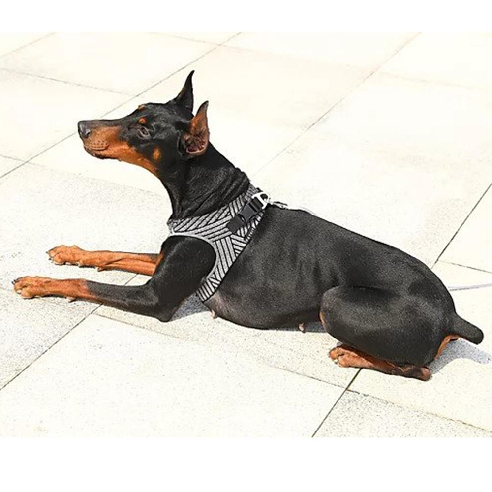 Instachew PETKIT Air Fly Dog Harness in black, showcasing its breathable mesh and soft chest cushion for comfort.