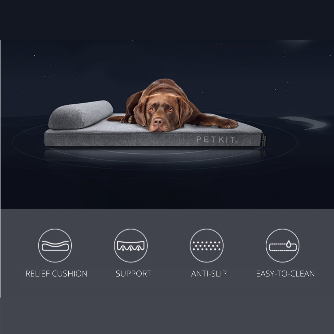 Instachew PETKIT Deep Sleep Dog Bed featuring orthopedic memory foam and stylish design, perfect for pet comfort.