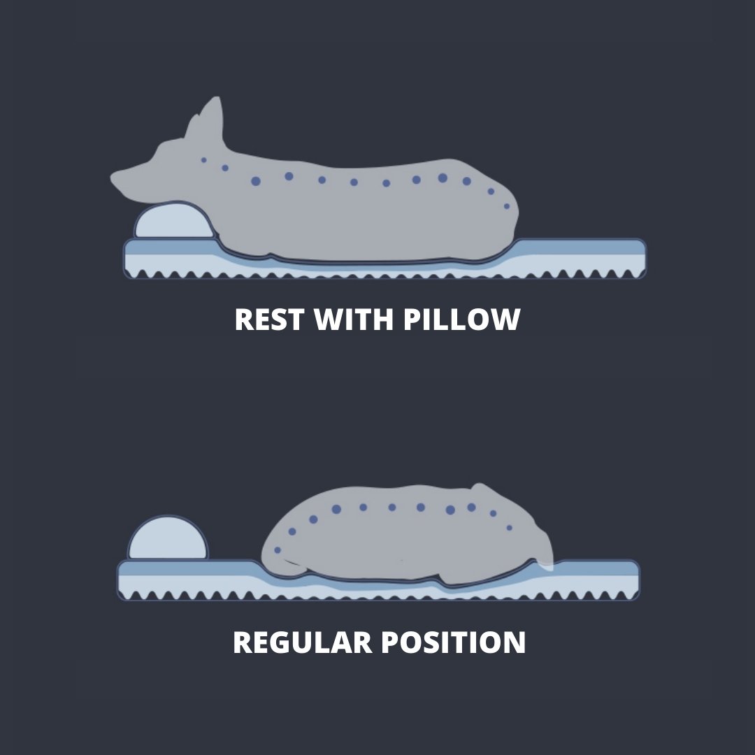 Instachew PETKIT Deep Sleep Dog Bed featuring orthopedic memory foam and stylish design, perfect for pet comfort.