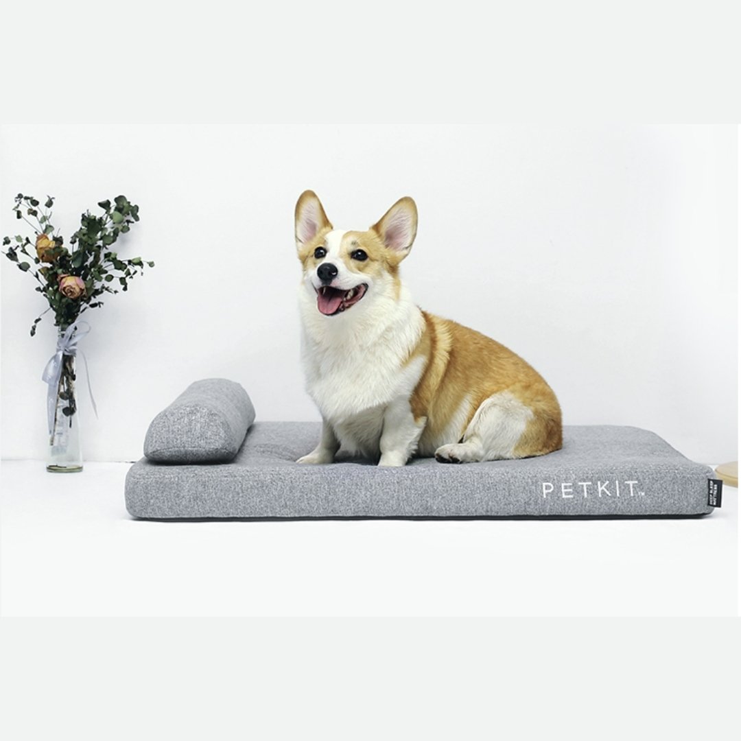 Instachew PETKIT Deep Sleep Dog Bed featuring orthopedic memory foam and stylish design, perfect for pet comfort.