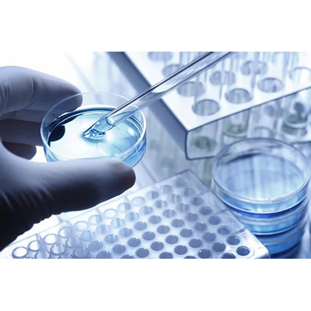 PETKIT Magicube Filter 3pk, featuring three refill filters designed for odor elimination and air purification in homes with pets.