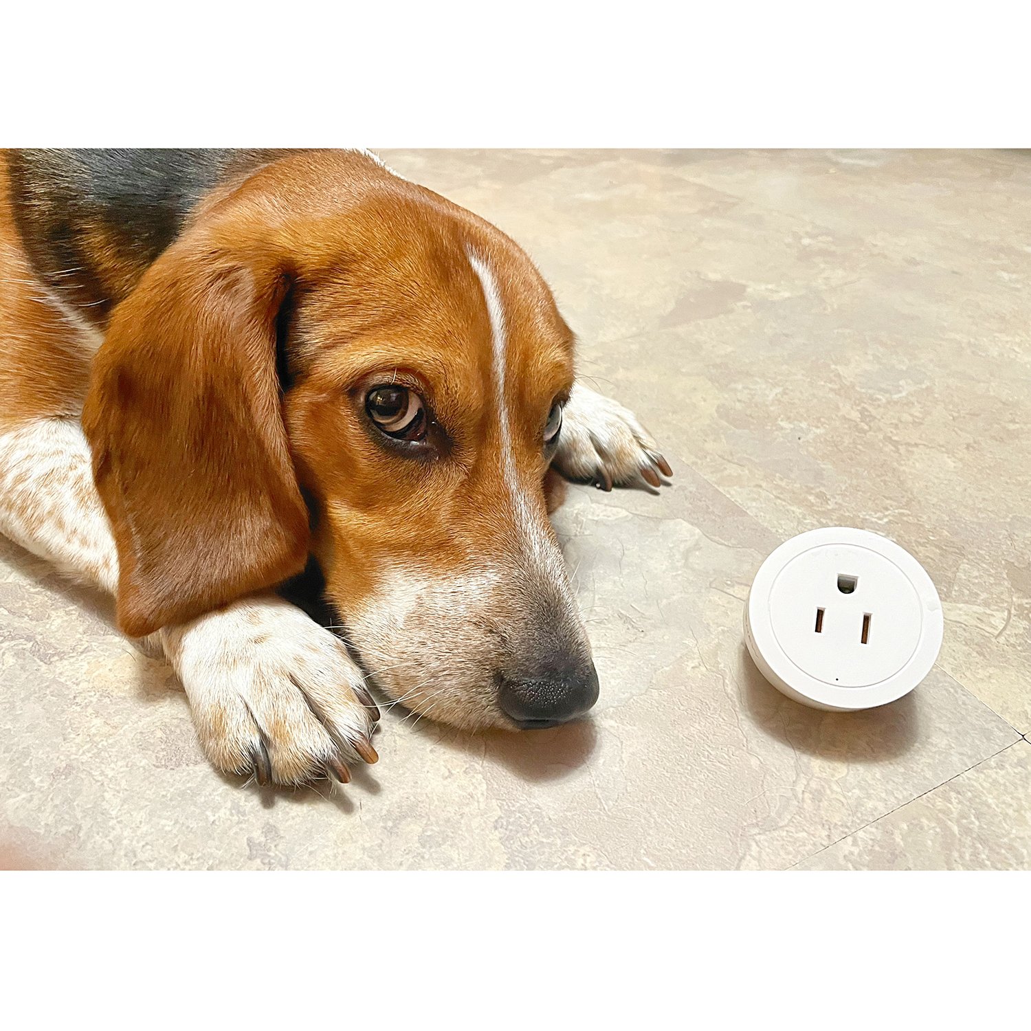 INSTACHEW PureConnect Smart Plug with USB port, designed for home automation and compatible with Alexa and Google Assistant.