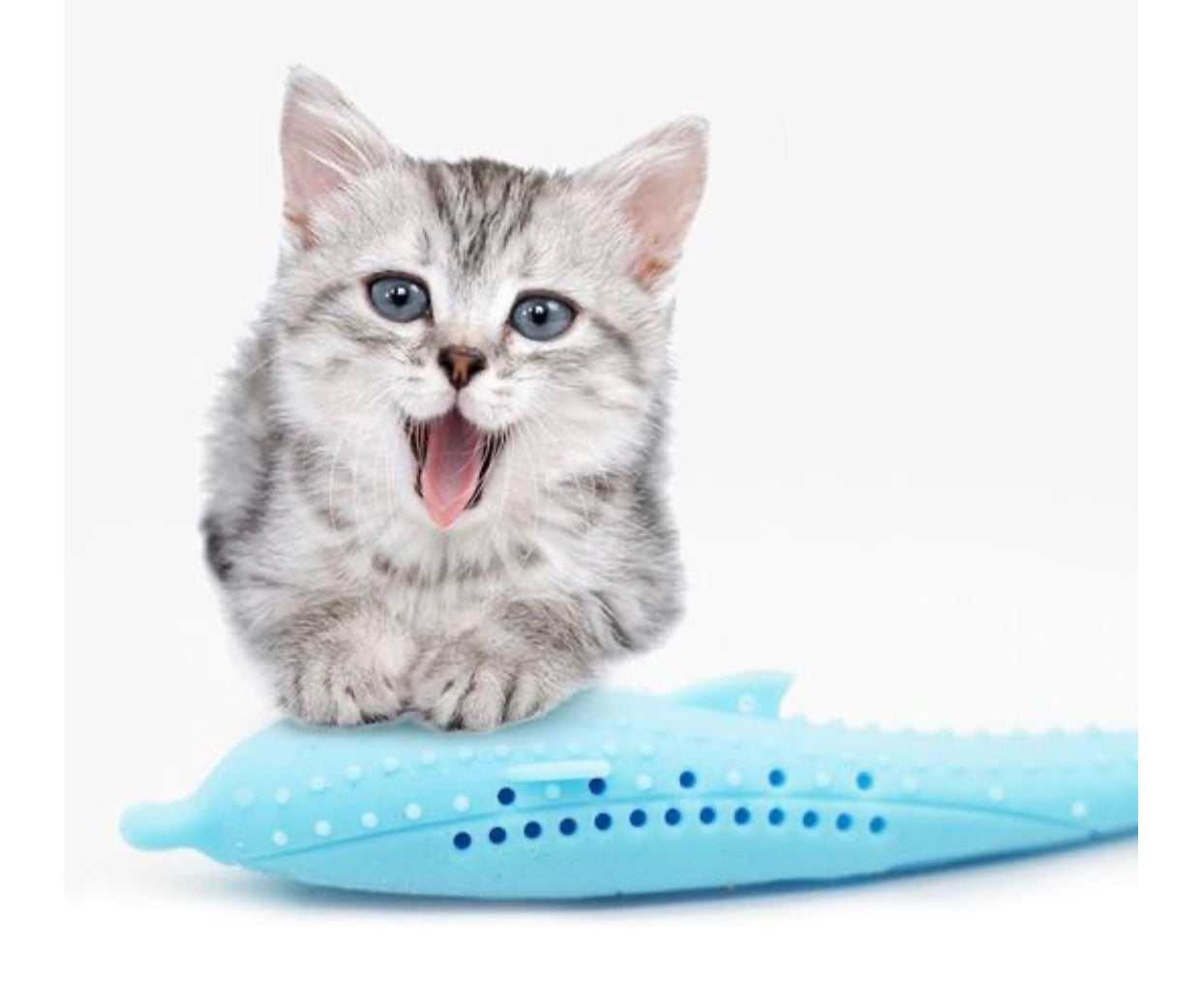 Interactive Cat Toothbrush with soft silicone nubs designed for cleaning cat's teeth and massaging gums, featuring a catnip pod for attraction.