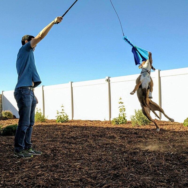 Interactive Dog Cat Feather Toy featuring colorful feathers on a plastic wand, designed for playful engagement with pets.