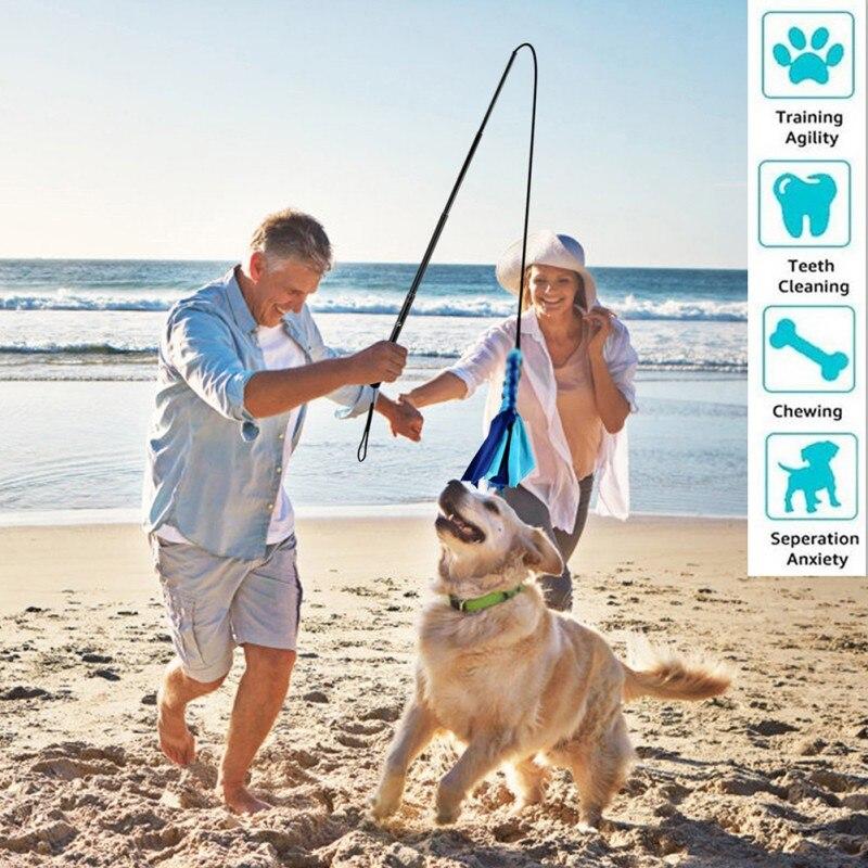 Interactive Dog Cat Feather Toy featuring colorful feathers on a plastic wand, designed for playful engagement with pets.