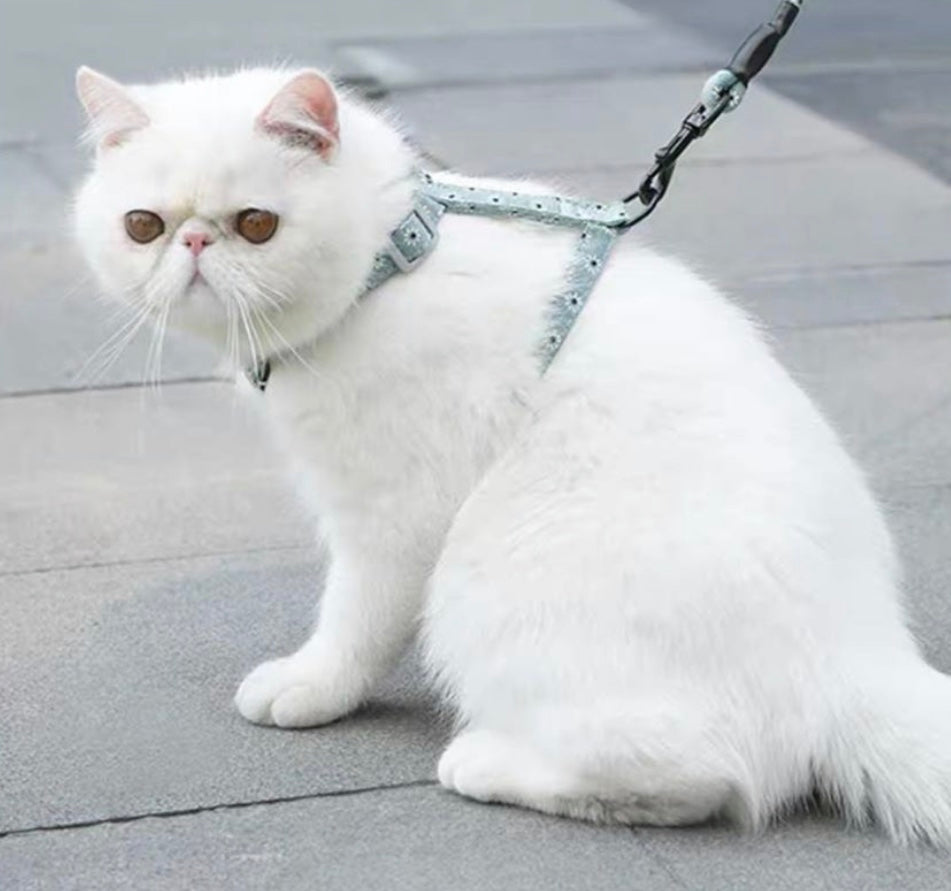 A stylish Japanese cat harness in various colors, showcasing its adjustable straps and high-quality material, perfect for outdoor adventures.