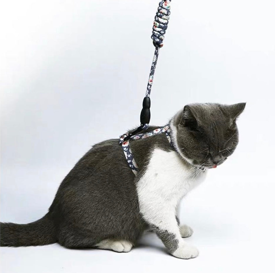 A stylish Japanese cat harness in various colors, showcasing its adjustable straps and high-quality material, perfect for outdoor adventures.