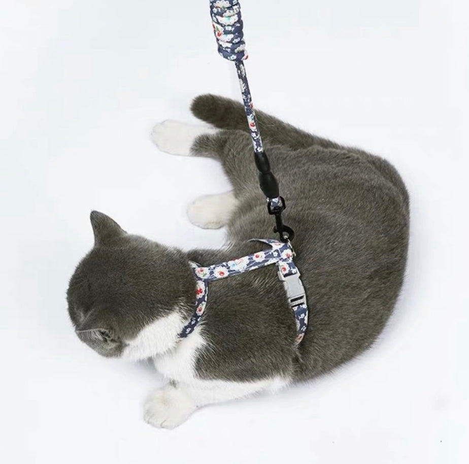 A stylish Japanese cat harness in various colors, showcasing its adjustable straps and high-quality material, perfect for outdoor adventures.