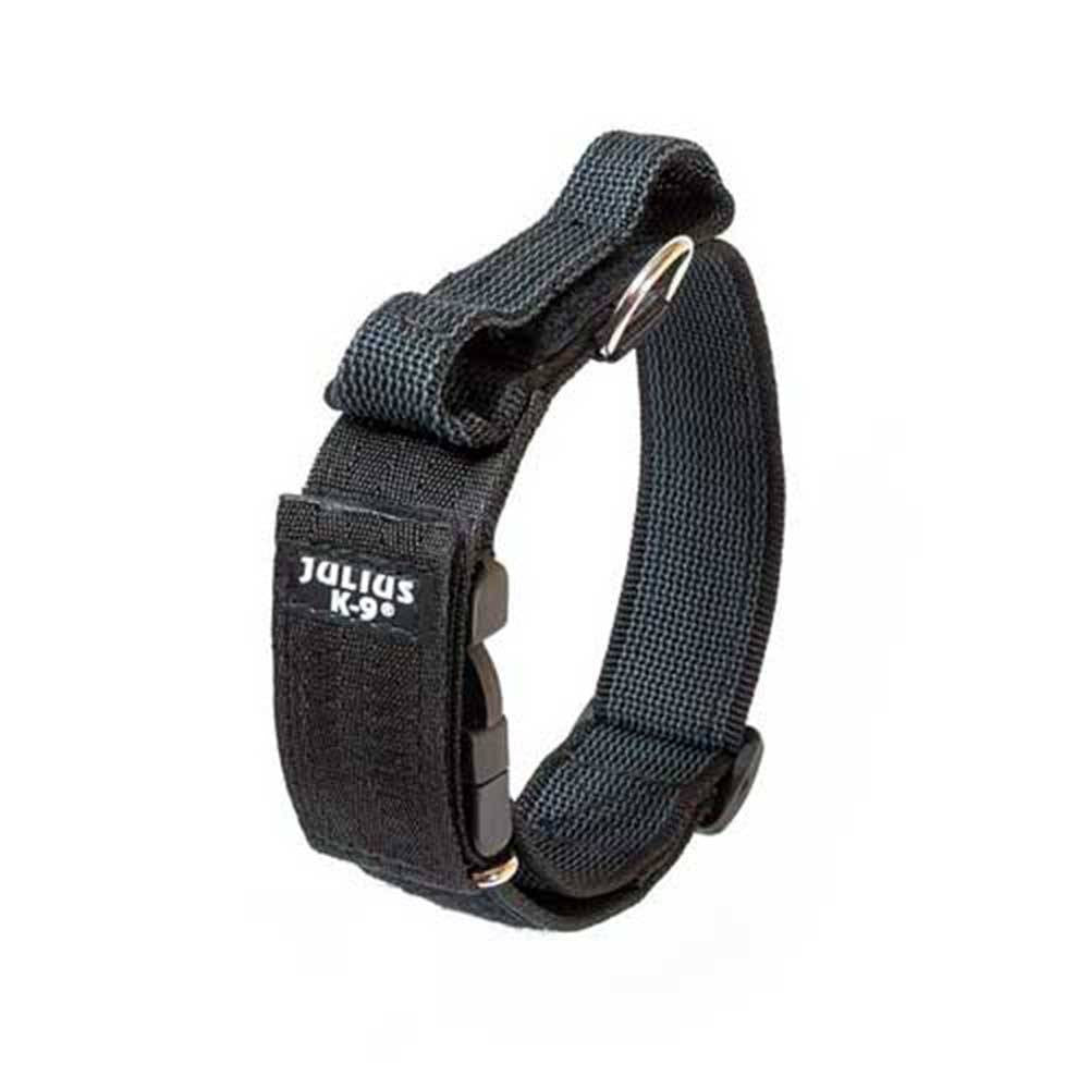 Julius-K9 Color & Grey Dog Collar showcasing its durable textile material and heavy-duty buckle, available in various colors.