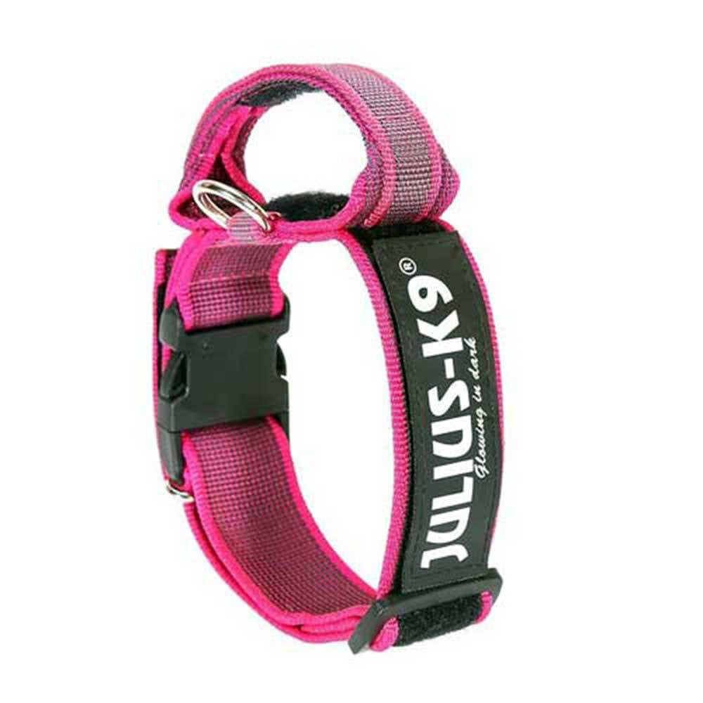 Julius-K9 Color & Grey Dog Collar showcasing its durable textile material and heavy-duty buckle, available in various colors.