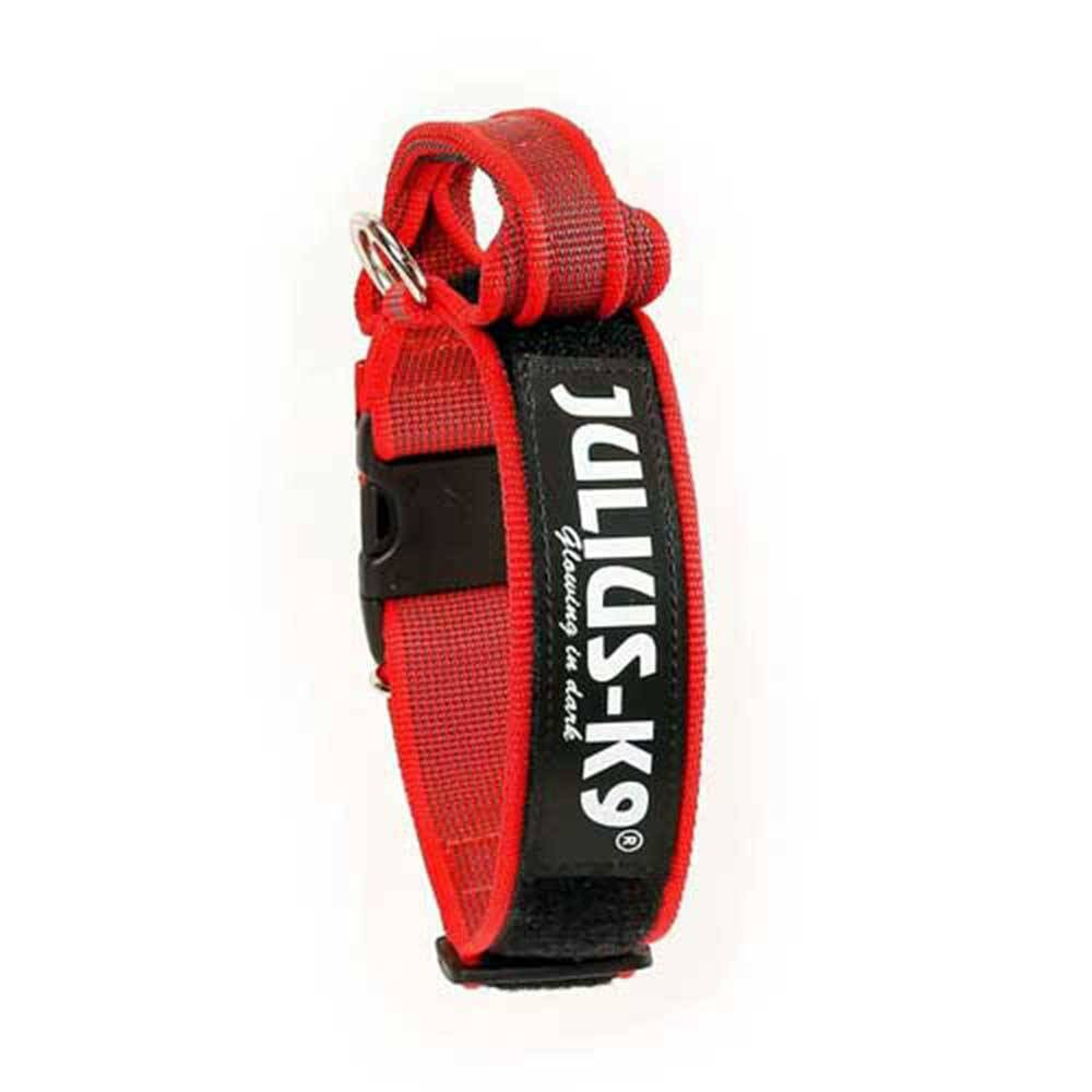 Julius-K9 Color & Grey Dog Collar showcasing its durable textile material and heavy-duty buckle, available in various colors.