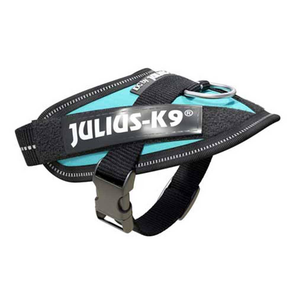Julius-K9 IDC-Powerharness for Dogs in Aquamarine, showcasing its durable design and adjustable straps.