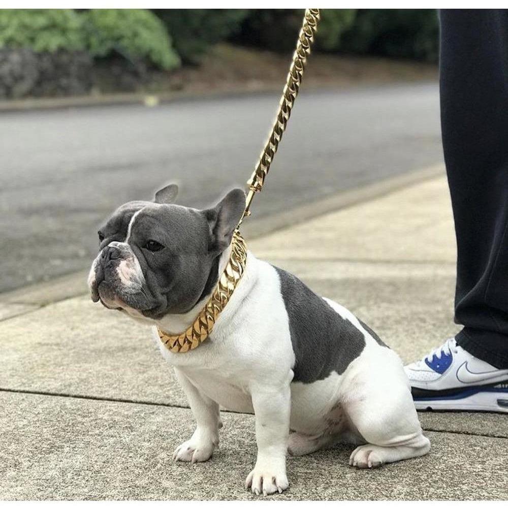 Kilo Cuban Link Dog Leash in 14K gold plating, showcasing a chunky, high-polish design made from marine-grade steel.