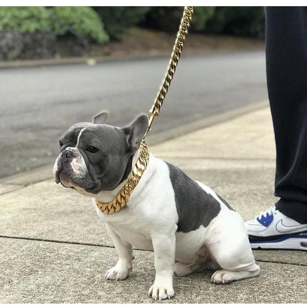 Kilo Cuban Link Dog Leash made of 14K gold-plated marine-grade steel, showcasing a luxurious and chunky design.