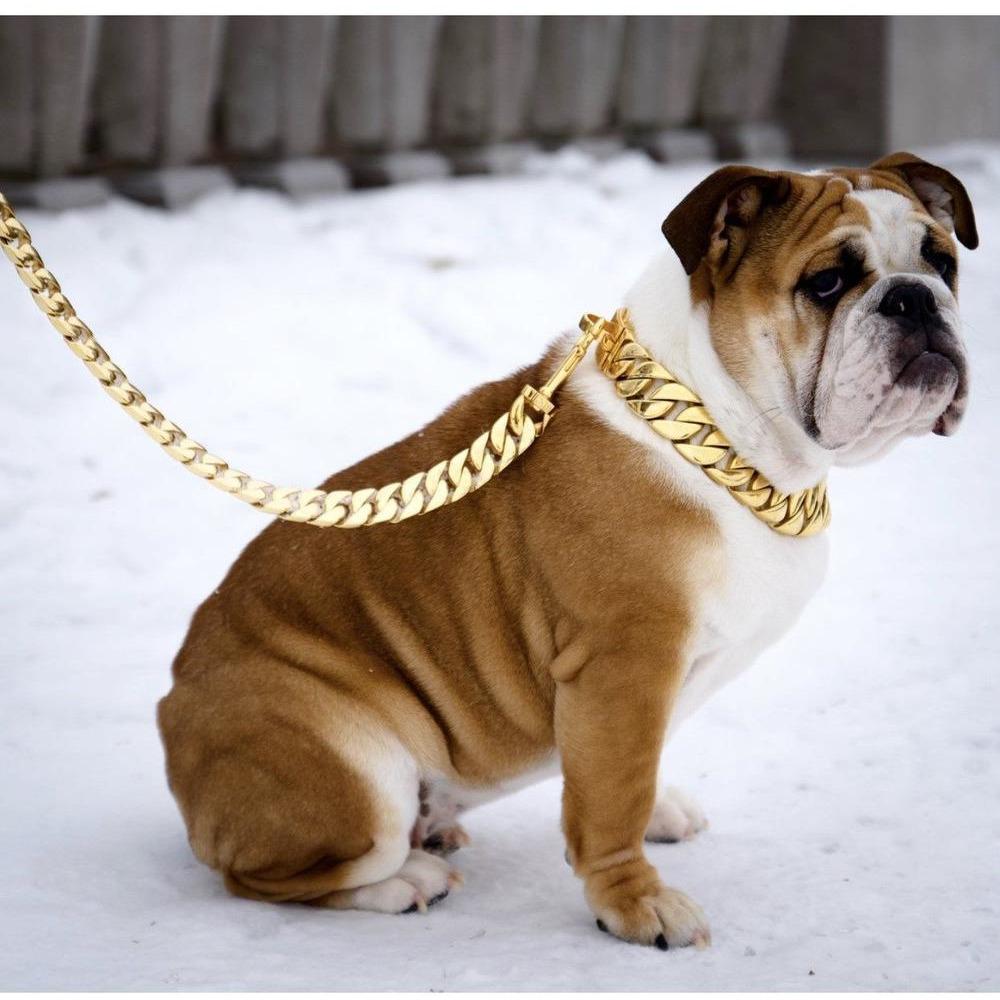 Kilo Cuban Link Dog Leash made of 14K gold-plated marine-grade steel, showcasing a luxurious and chunky design.