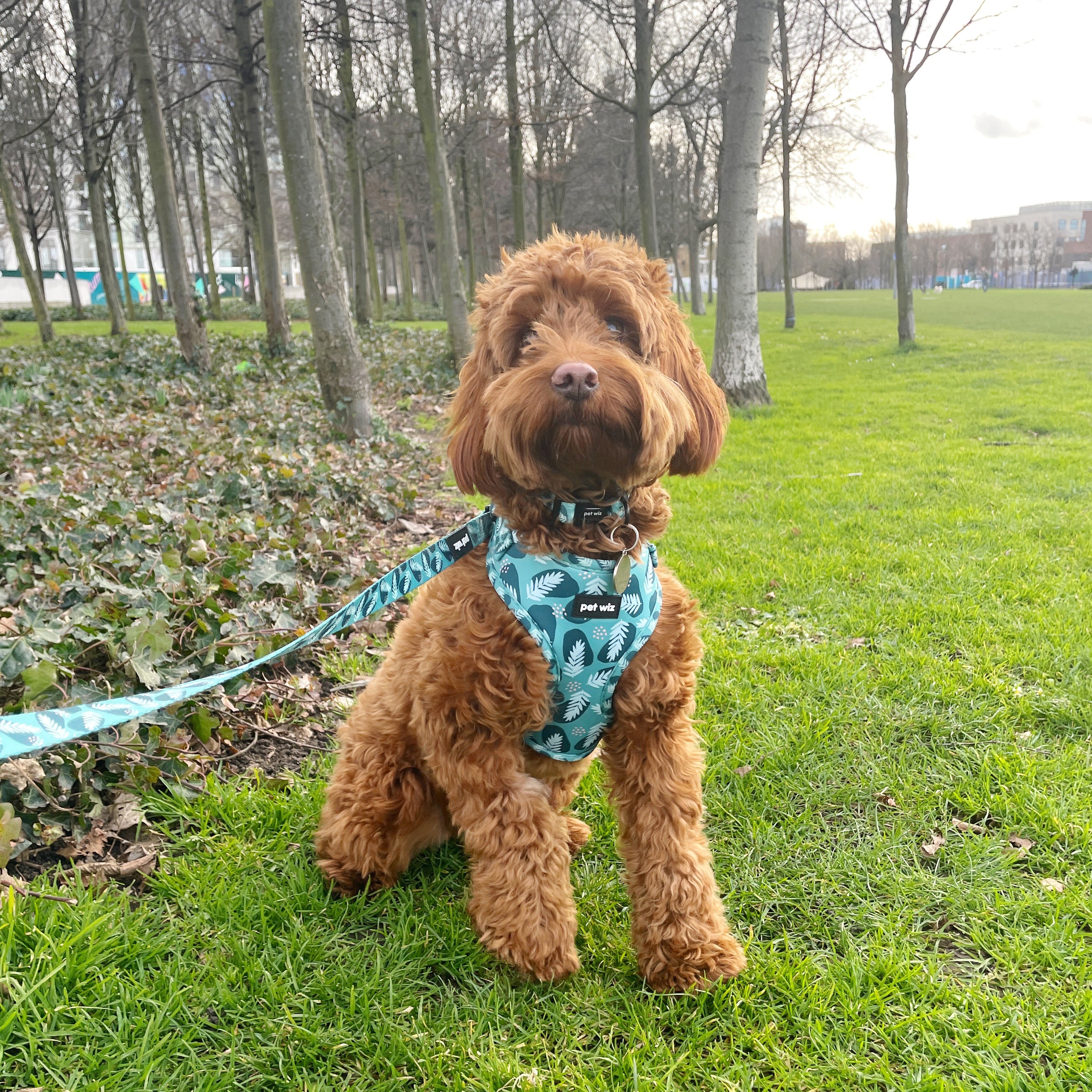 A vibrant jungle-themed dog lead featuring three unique patterns, showcasing its neoprene padded handle and durable swivel clip.