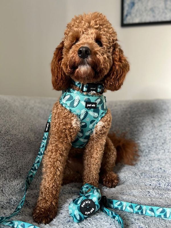 A vibrant jungle-themed dog lead featuring three unique patterns, showcasing its neoprene padded handle and durable swivel clip.