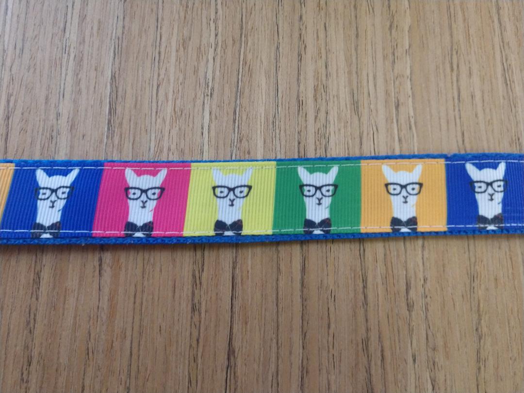 A stylish large dog leash featuring a Hipster Llamas design, measuring 6 feet long and 1 inch wide, with a comfortable handle and D-ring.