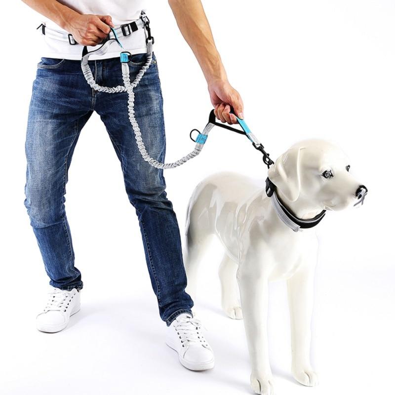 Elastic hands-free dog running belt in two colors, designed for jogging with pets.