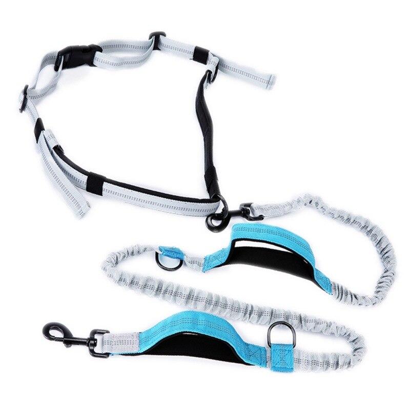 Elastic hands-free dog running belt in two colors, designed for jogging with pets.