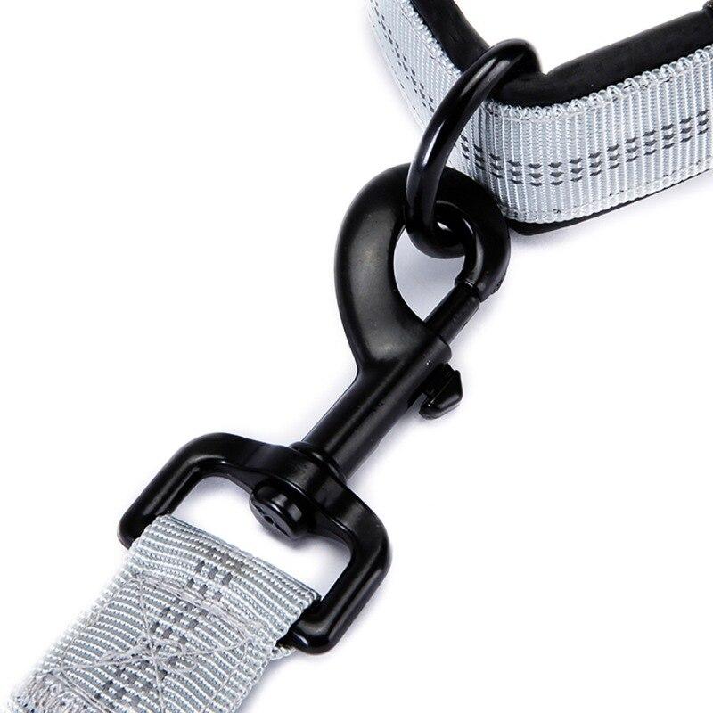 Elastic hands-free dog running belt in two colors, designed for jogging with pets.