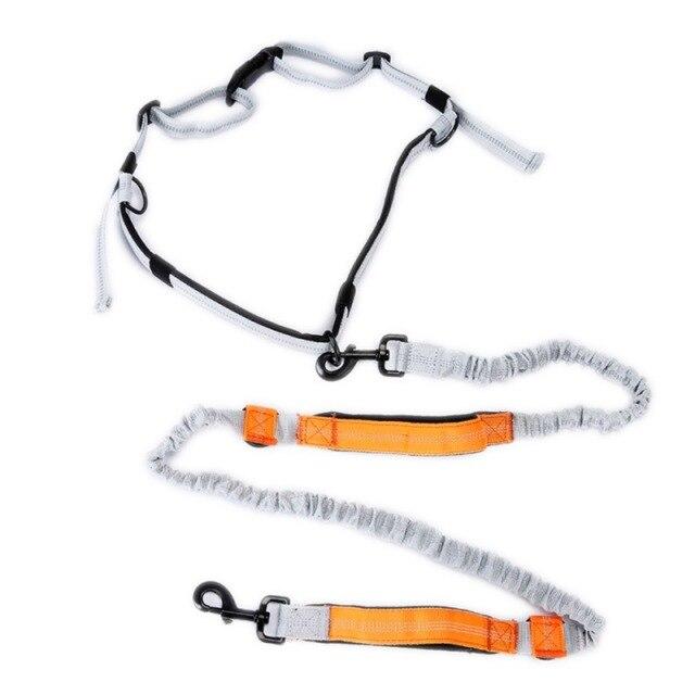 Elastic hands-free dog running belt in two colors, designed for jogging with pets.