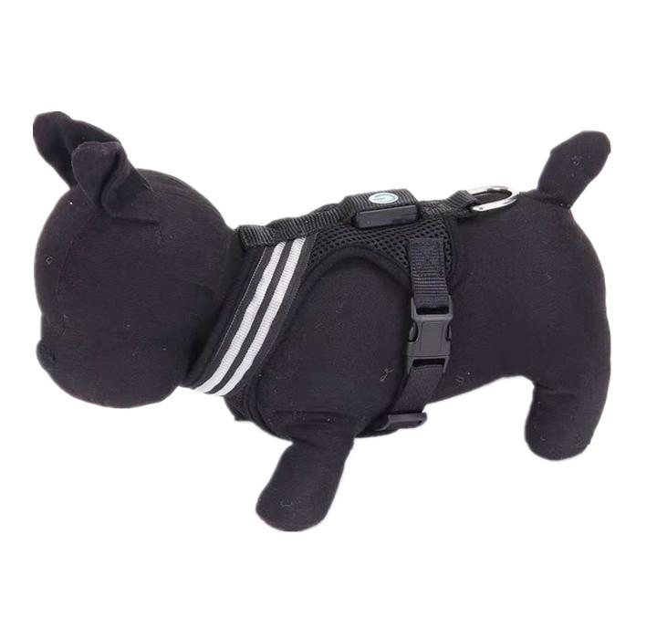 A brightly colored LED dog harness featuring optic fiber lights, adjustable straps, and a durable design, perfect for nighttime visibility.