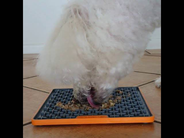 Lickimat Buddy Deluxe Treat Mat for dogs and cats, featuring a textured surface for spreading soft treats, available in vibrant colors.