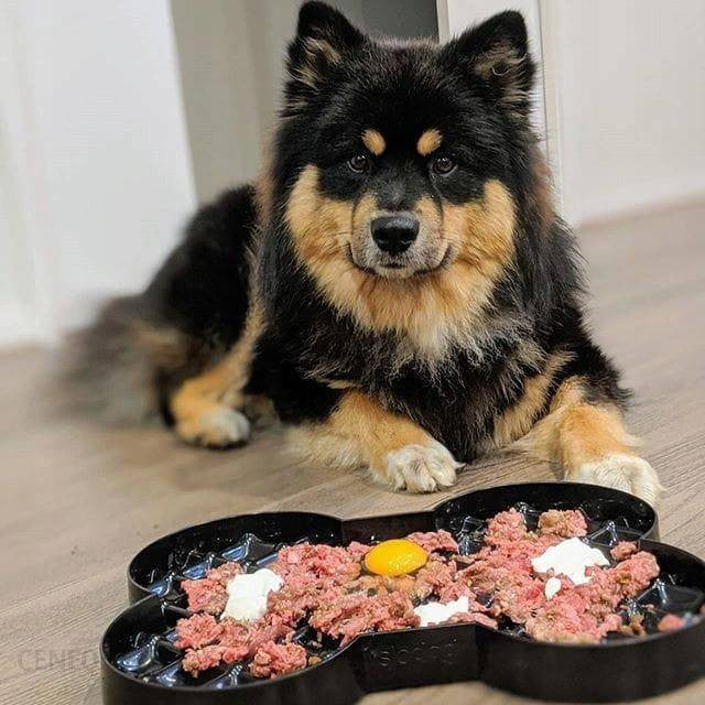 Lickimat SloDog Slow Feeder Plate in black, featuring shallow pockets for easy feeding and promoting slow eating habits in dogs.