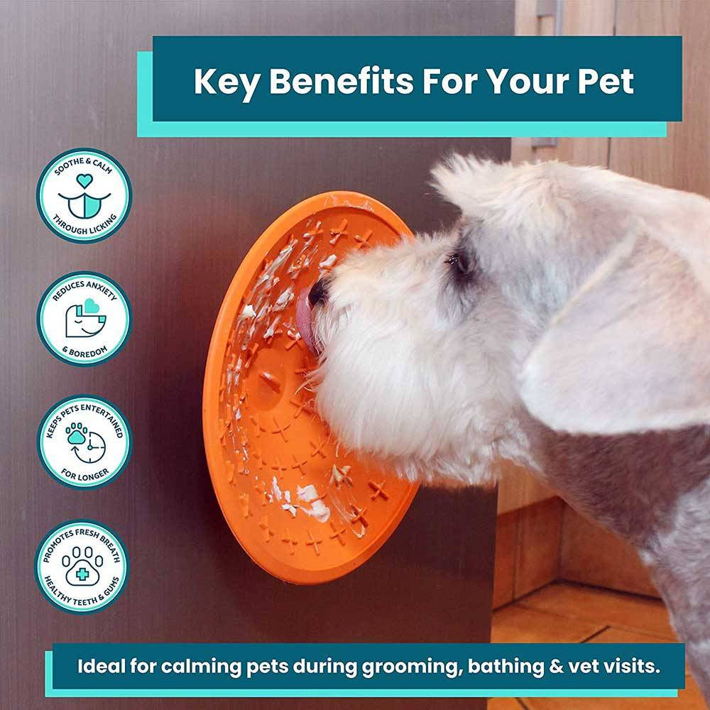 Lickimat Splash Bowl in vibrant colors, designed for dogs and cats, featuring a suction cap for secure attachment during feeding.